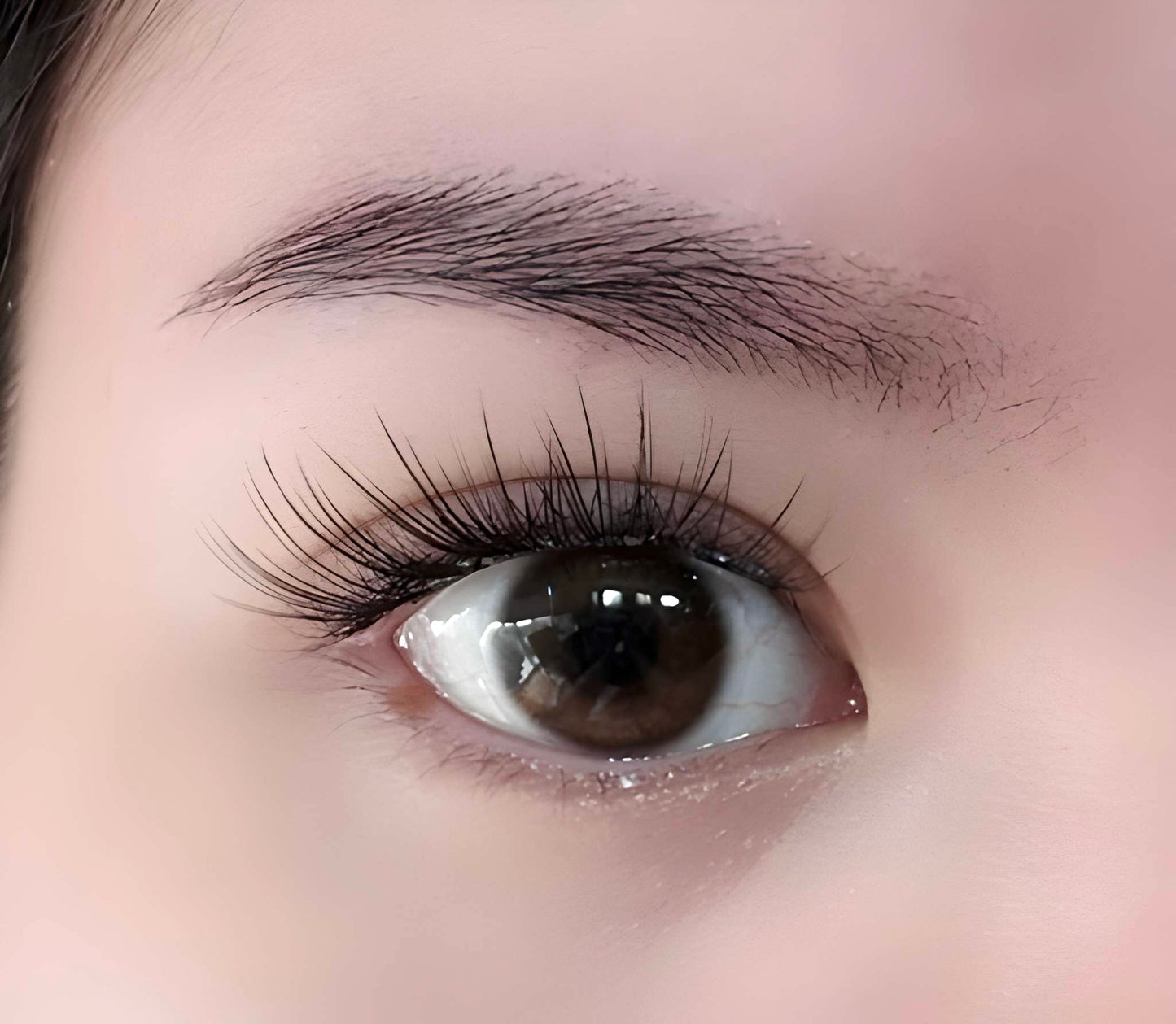 lily - cat eye